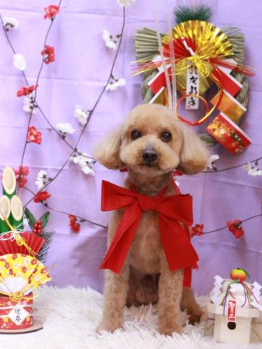 20230111かおるくん